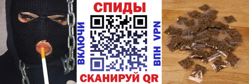 shop состав  как найти закладки  Няндома  Бутират BDO 33%  blacksprut как войти 