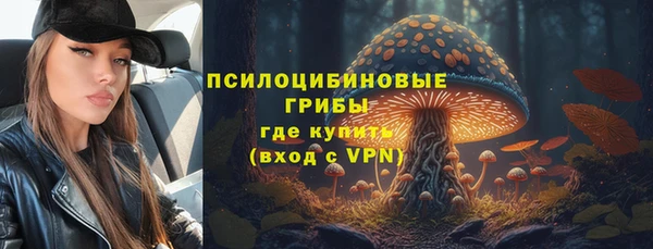 spice Беломорск