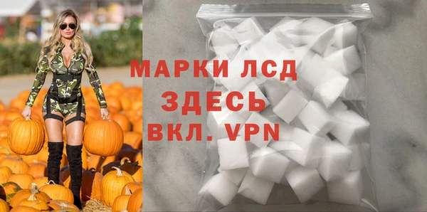 spice Беломорск