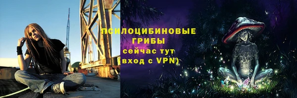 spice Беломорск