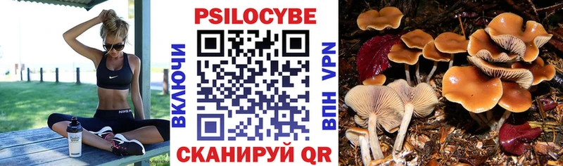 Галлюциногенные грибы мухоморы Няндома